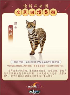 天龙八部私服版
